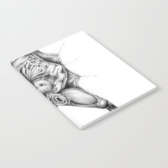 Frog Dissection Notebook