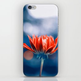 Red Beauty In Blue iPhone Skin