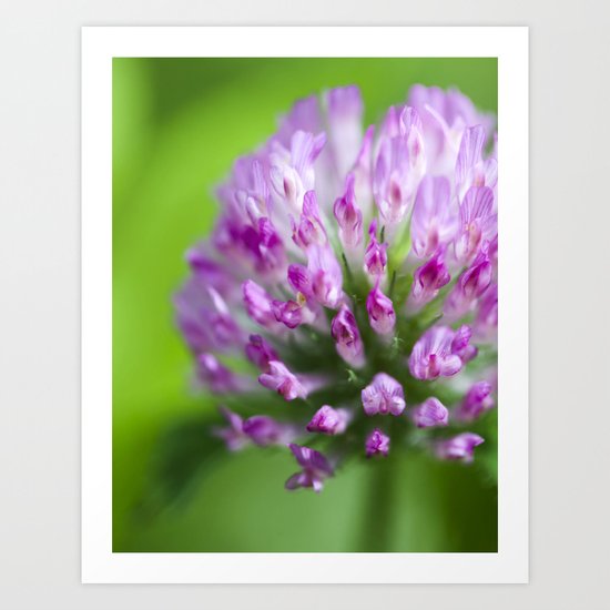 Natural Purple Art Print