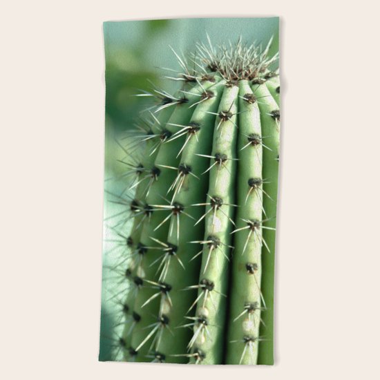 Cactus Beach Towel