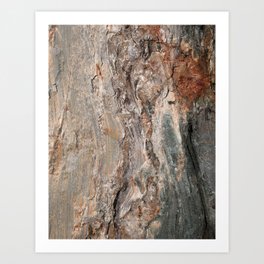 Maine Coast Rocks, No.1 Art Print