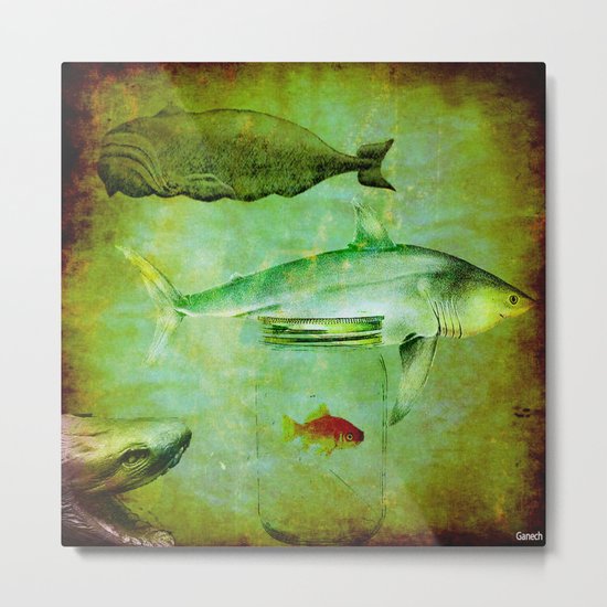 Hostile environment for a goldfish Metal Print