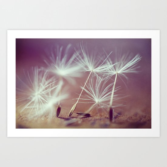 Beautiful Seeds Art Print