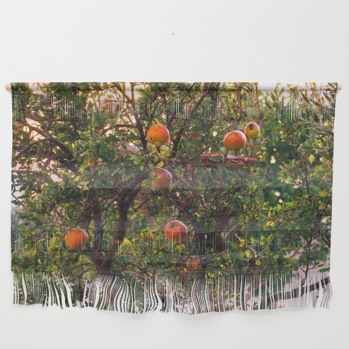 The Pomegranate Tree | Fruit Tree in Greece - Summer Travel Photography on the Greek Islands, Europe Wall Hanging