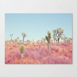 Surreal Pink Desert - Joshua Tree Landscape Photography Canvas Print