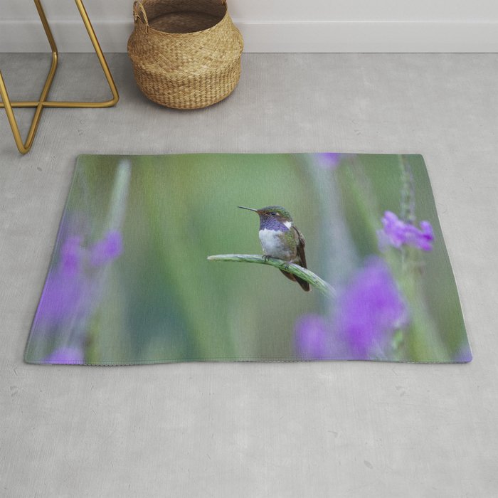 Volcano Hummingbird in Costa Rica Rug