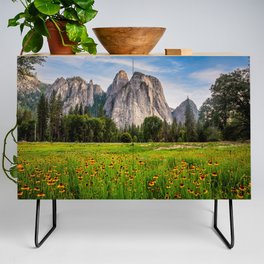 In the Valley of Yosemite - Wildflowers at Cathedral Rocks in Yosemite National Park California Credenza