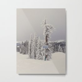 Frost Bite Metal Print | Landscape, Photo, Nature, Digital 