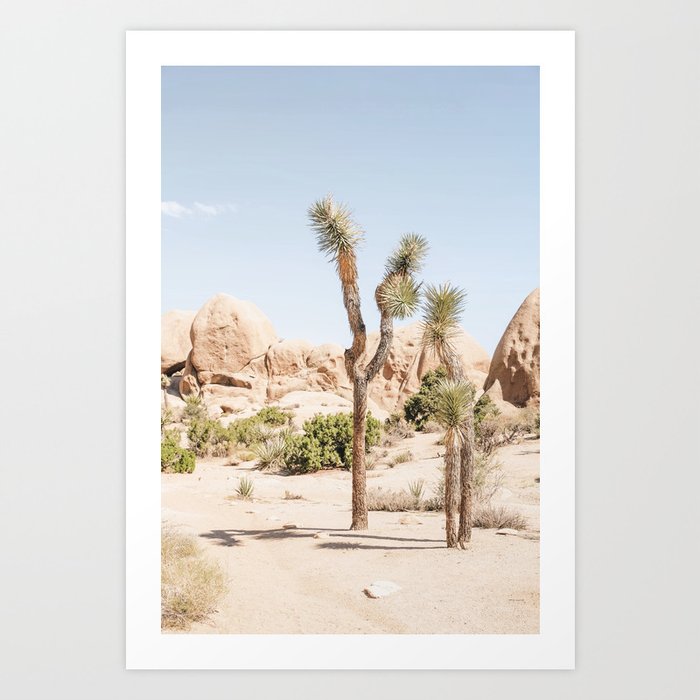 Joshua Tree, USA⎪Josue cactus nature in Mojave desert mountain pastel boho beige landscape with western mood sun light fine art photography on film Art Print