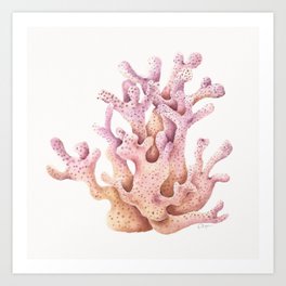 Coral | Watercolor Art Print