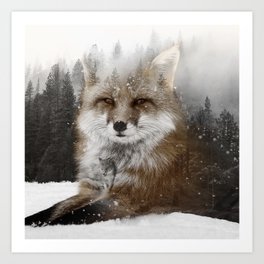 Fox Stare Art Print