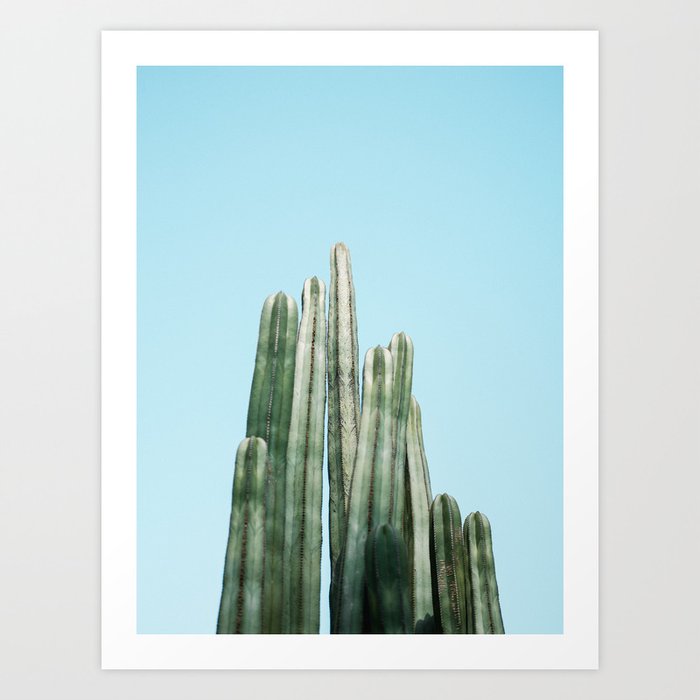 Tall cacti | Cactus photo print | Colourful travel wanderlust photography art Art Print