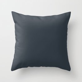 Gray-Blue Prestige Throw Pillow
