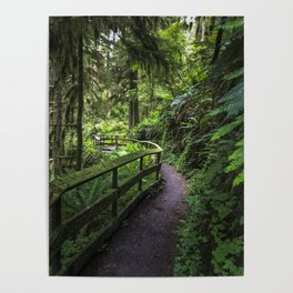 Walk through the rain forest Poster