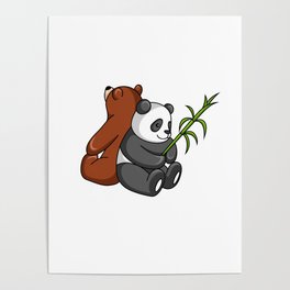 Grizzly Bear And Panda Bear Together Poster