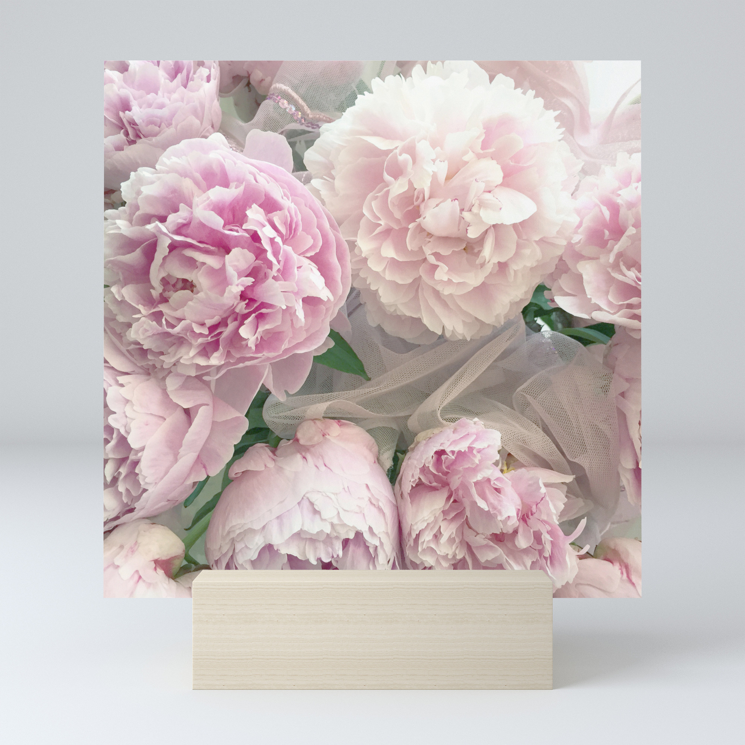 Shabby Chic Pastel Pink Peonies Wall Art Peonies Home Decor Mini