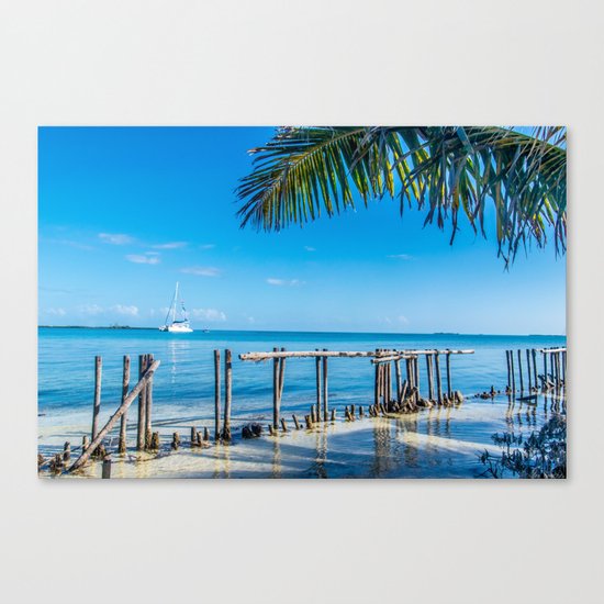 From Under the Palms Canvas Print
