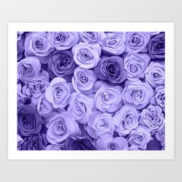 Violet Roses Art Print