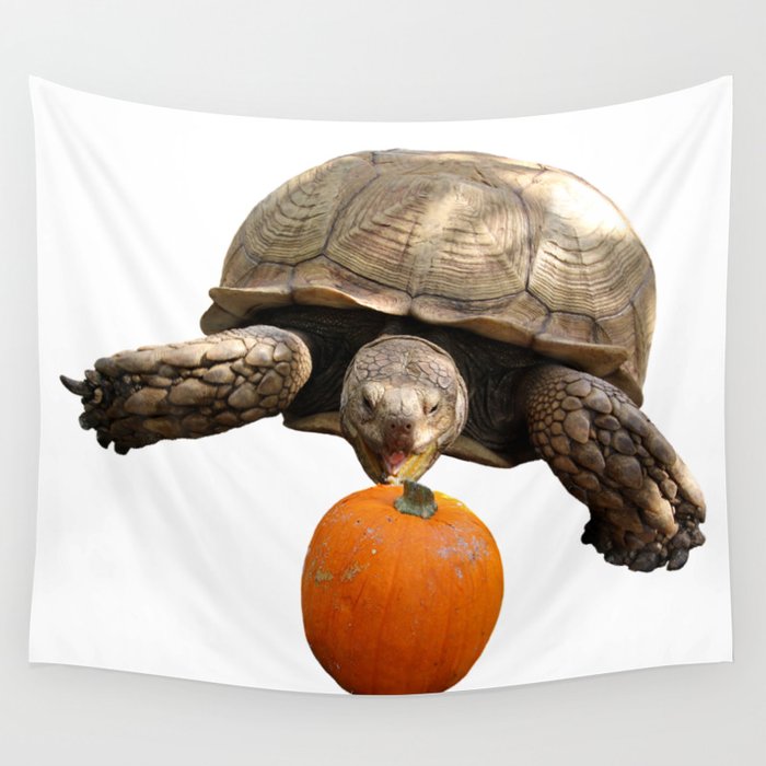 Sulcata Tortoise With Pumpkin Wall Tapestry By Misimichu Society6