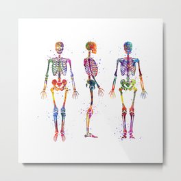Human Skeleton Anatomy Art Medicine Art Colorful Watercolor Art Gift Biology Art Metal Print