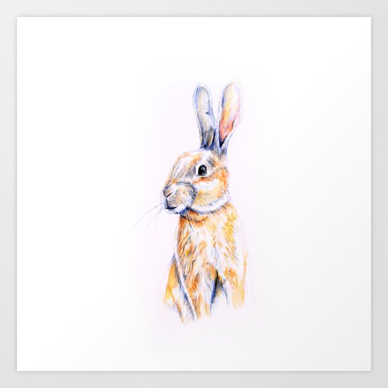 Rabbit Art Print