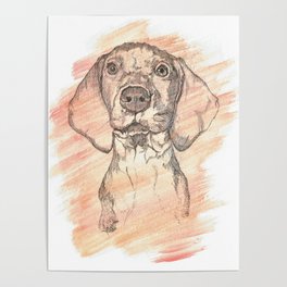 Vizsla Puppy Watercolor Painting Poster