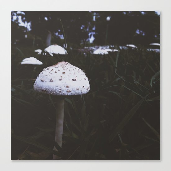 Mushroom Canvas Print