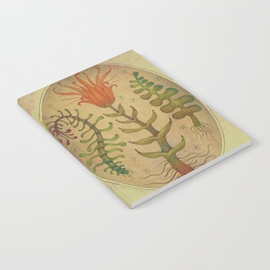 PLANTAE I Notebook