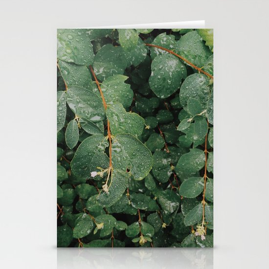 Spring Dew Drops Stationery Cards