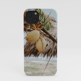 Coconut Palm Love iPhone Case