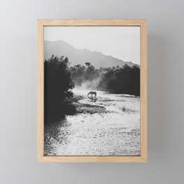 Black & White Arizona Wild Horse along the Salt River Mountains Framed Mini Art Print