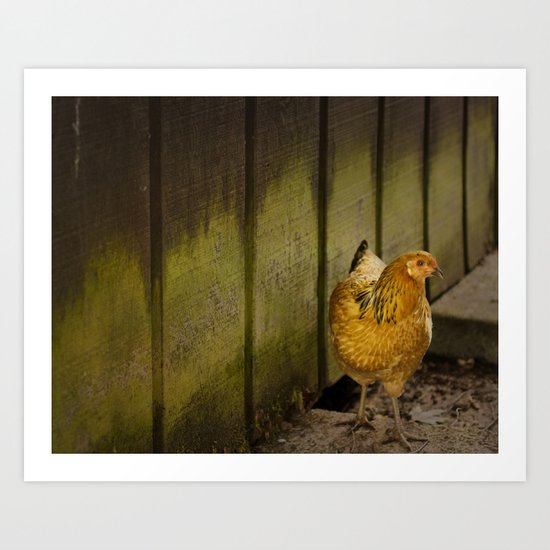 Orange chicken Art Print