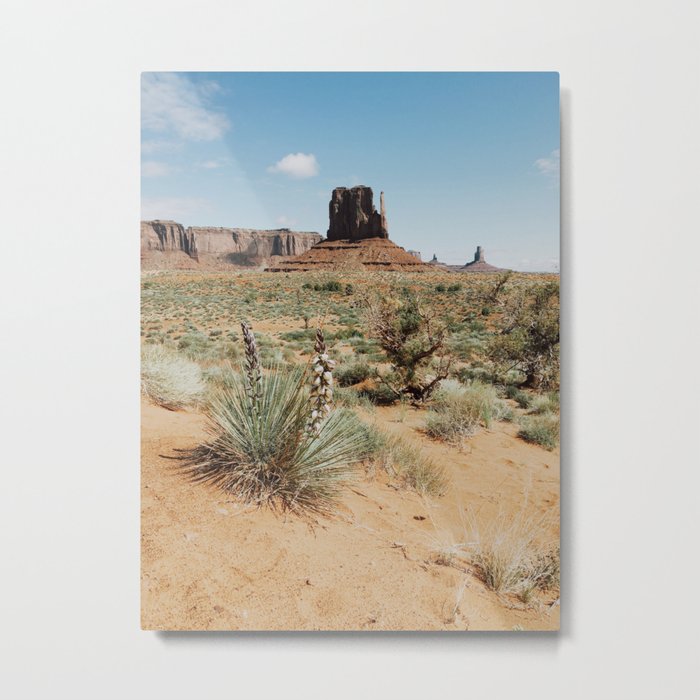 Blooming Southwest Desert Yucca Metal Print