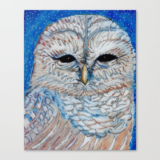 Owl Canvas Print