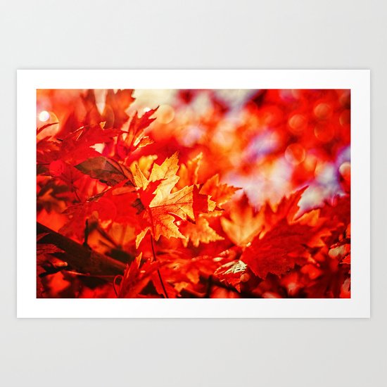 Indian Summer 7 Art Print