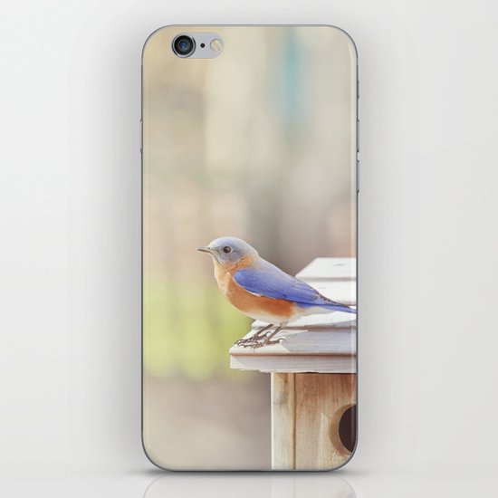 Bluebird Morning iPhone Skin