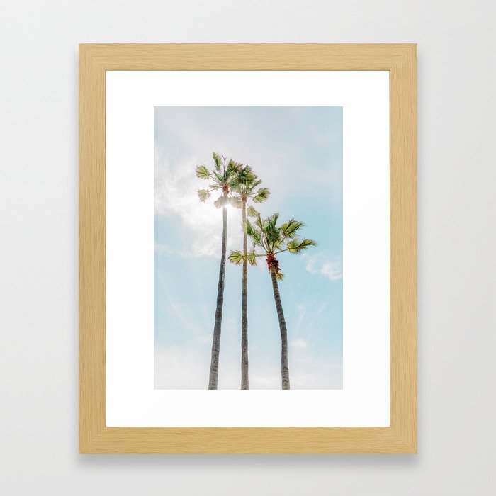 3 Palm Trees Framed Art Print
