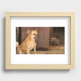 Cats and dogs Recessed Framed Print