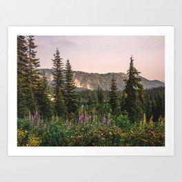 Mount Rainier Wildflower Adventure VII - Pacific Northwest Mountain Forest Wanderlust Art Print