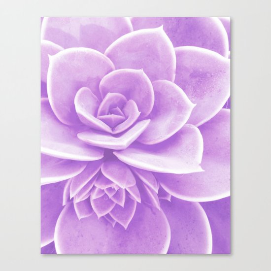 Purple Succulent Reflection Canvas Print