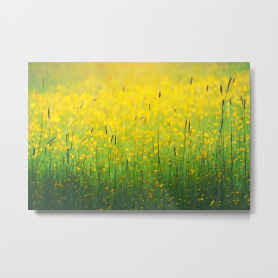 Field green yellow Metal Print