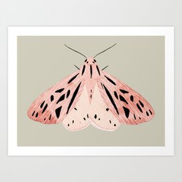 butterfly watercolor Art Print