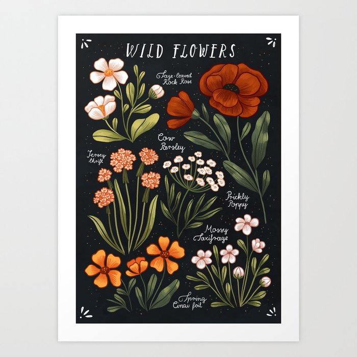 Wild Flowers ~ vol1.  vintage inspired botanical Art Print