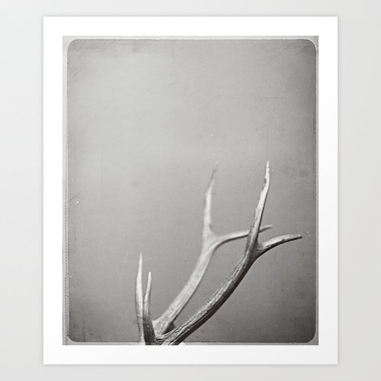fig. 01 | antlers Art Print