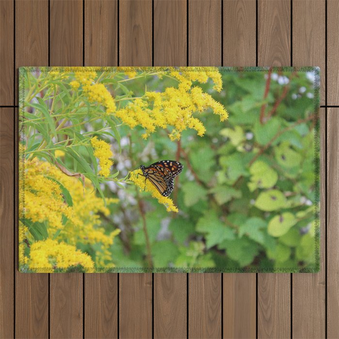 Monarch Butterfly getting ready for Migration Outdoor Rug