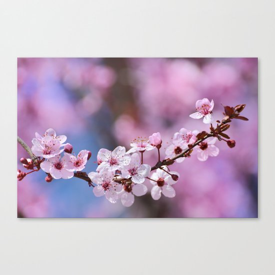 Pink...... Canvas Print