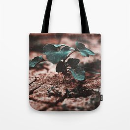 Earth Tote Bag