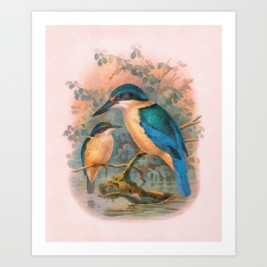 Kingfisher Art Print
