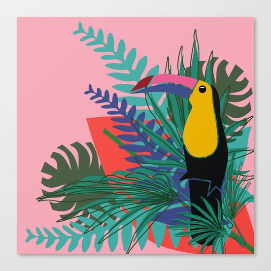 Toucan pink Canvas Print
