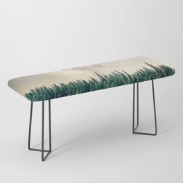 Forest Night Sky Bench